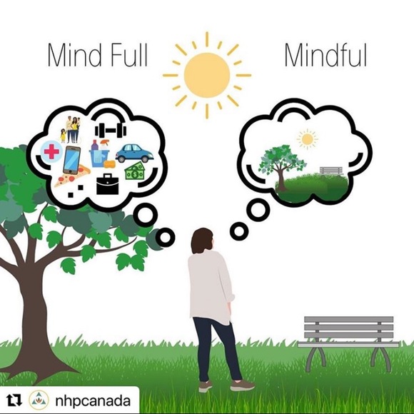 Meet your Posher, Vanessa - Picture 1 of 1